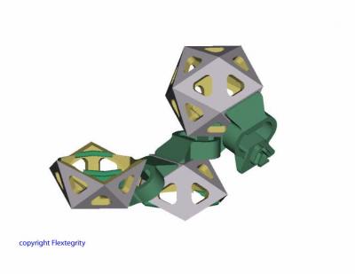 Open Icosahedral Assembly