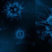 some viruses have Icosahedral Structures